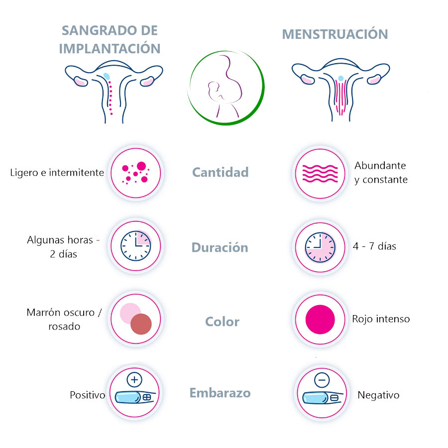 Diferencias entre sangrado de implantación y menstruación
