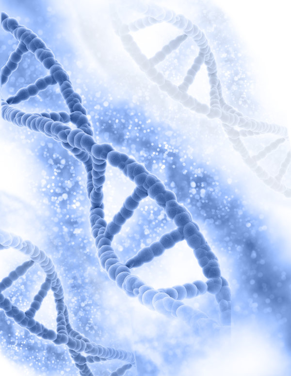 Test Genético Preimplantacional - ADN