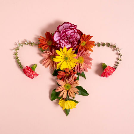 Endometriosis, infertilidad y FIV